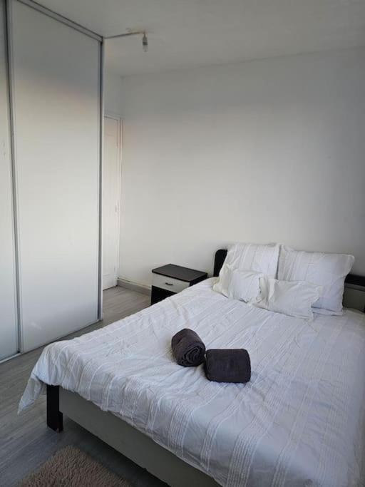 Bel Appartement A 쇼아지-레-로아 외부 사진